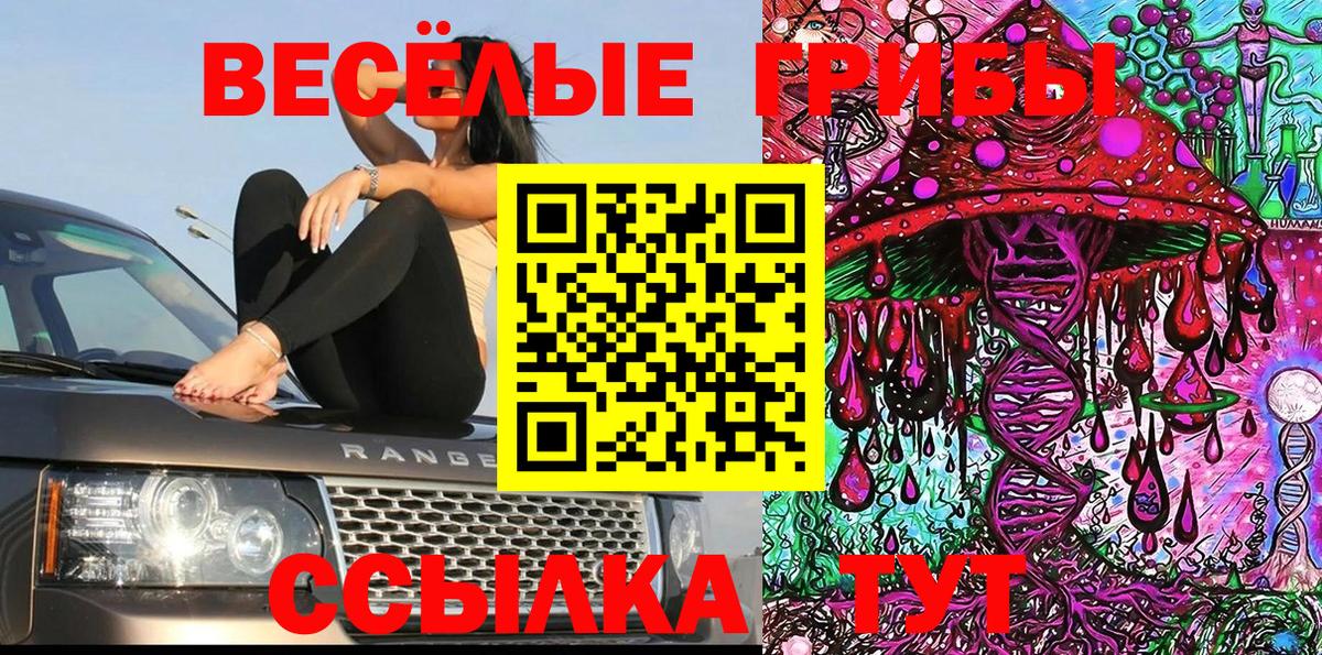 Галлюциногенные грибы Psilocybine cubensis  Вход с VPN  Ковров 