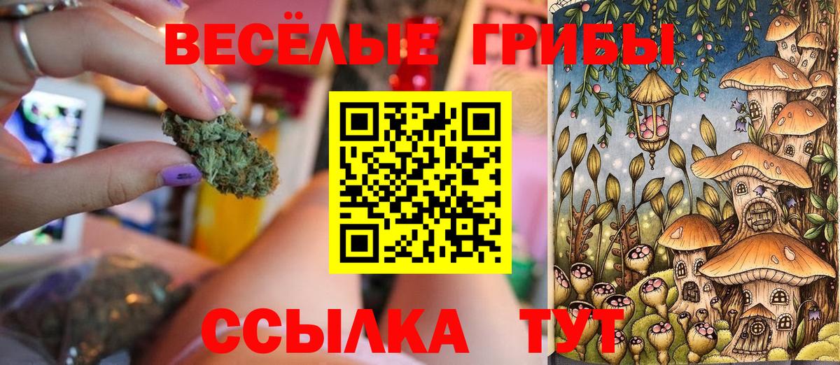 Псилоцибиновые грибы ЛСД Ковров